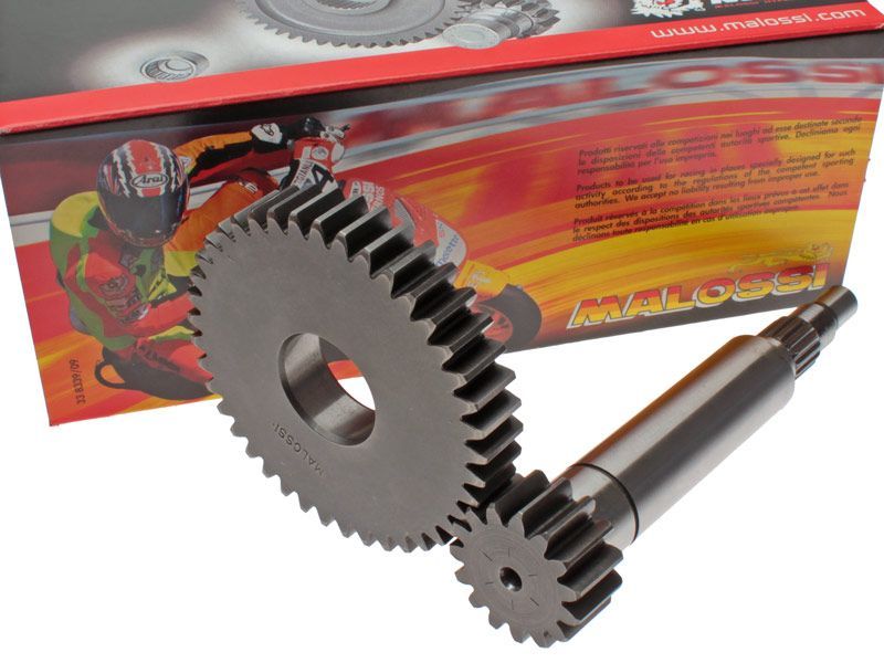gearing - malossi htq primær 15/41