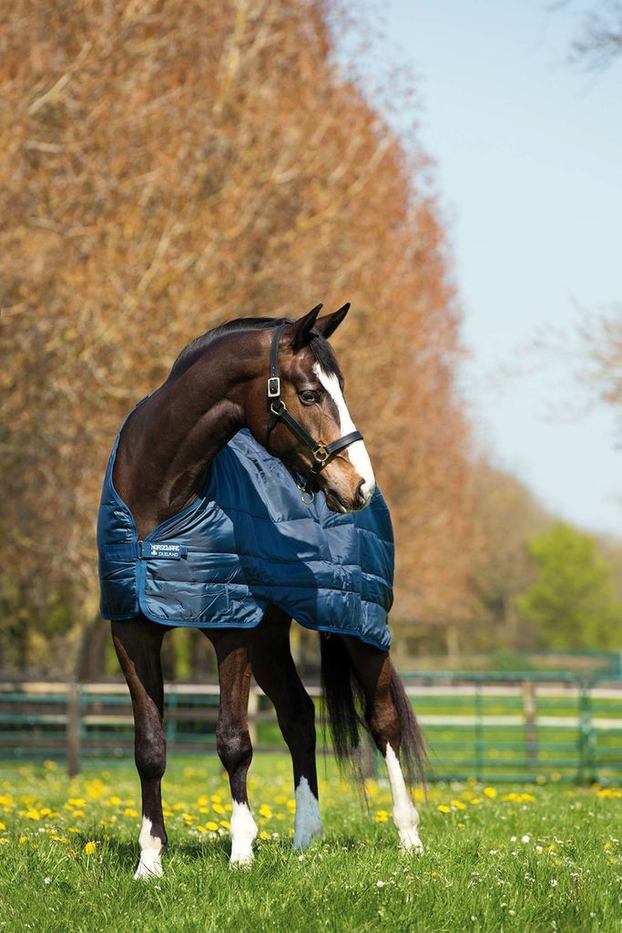 Horseware Liner underdækken, 200g