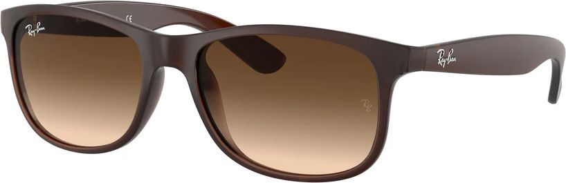 Ray-Ban Andy RB4202 615355
