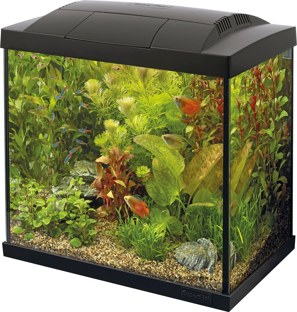 Superfish Start 30 Akvariestartsæt 25 L 36 x B22 x H37 cm