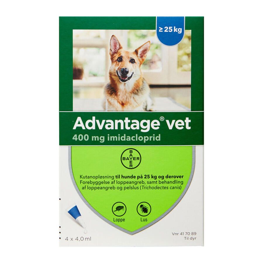 advantage vet. til hund