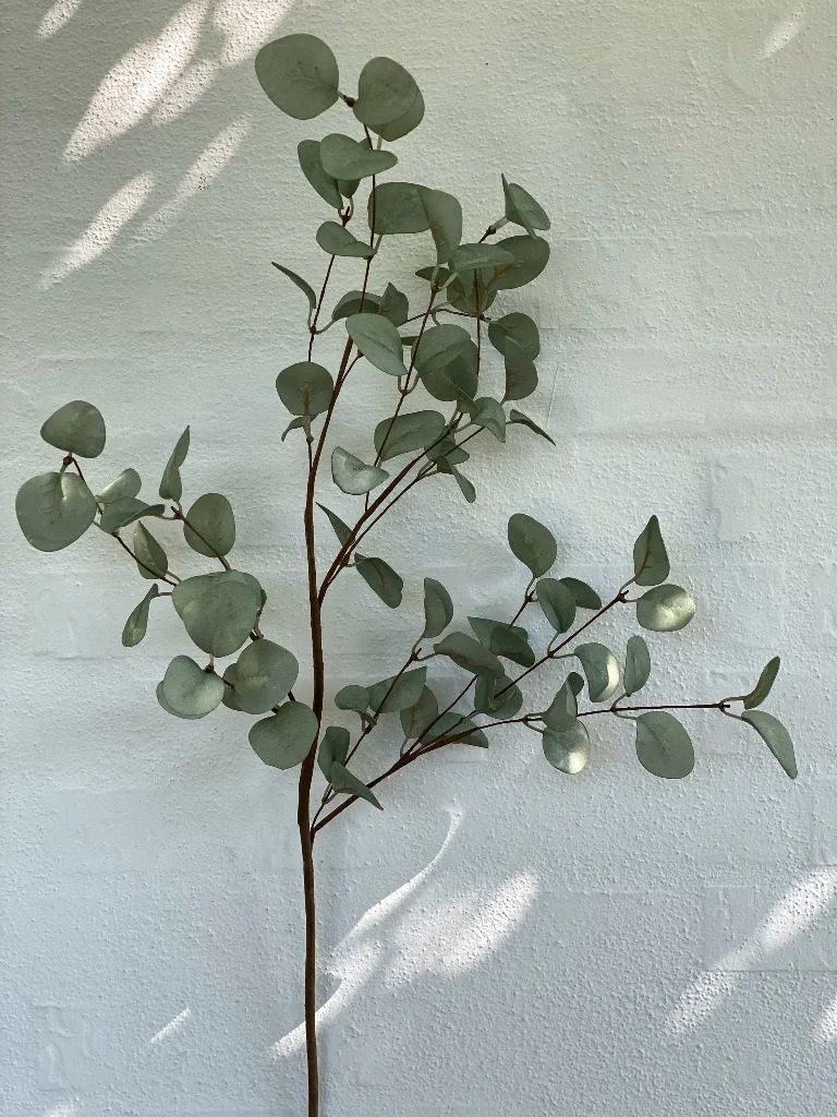 La Vida La Vida, eucalyptus Kunstig plante