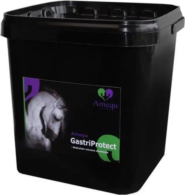 Amequ Gastriprotect