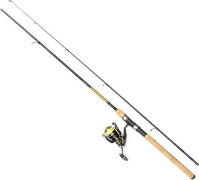 Daiwa 20 Crossfire LT Gold Rush Combo
