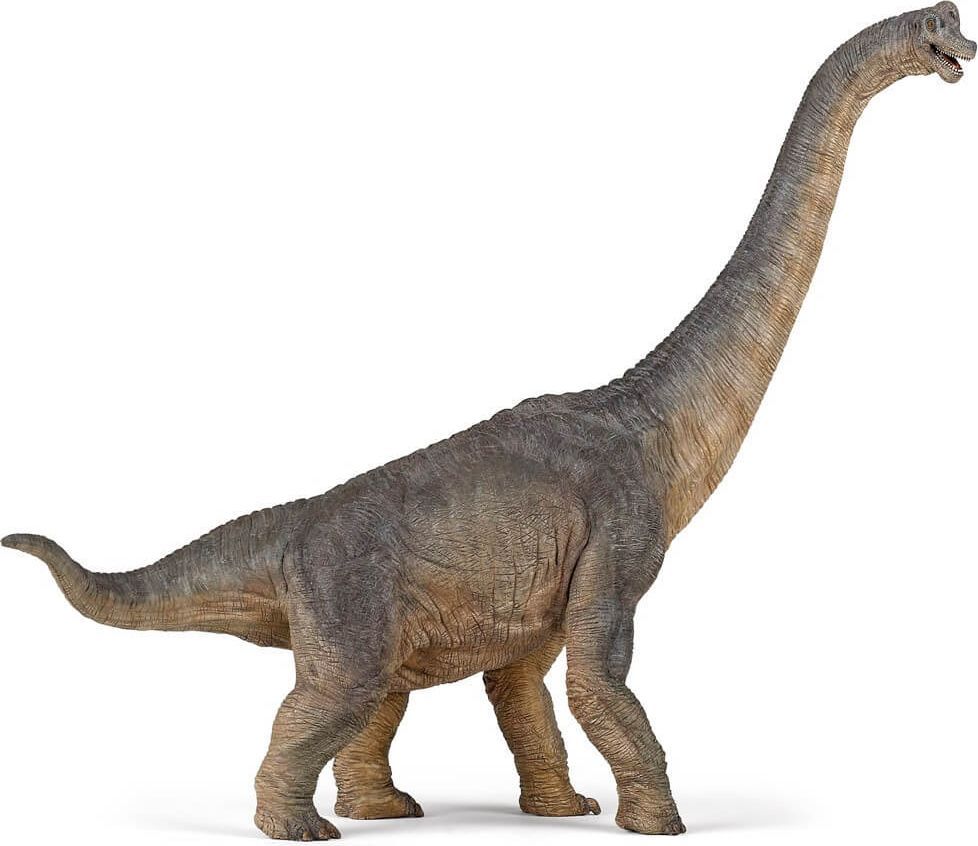 Papo Brachiosaurus 55030