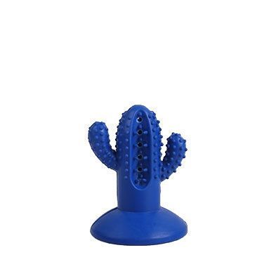 AFP Dental Cactus