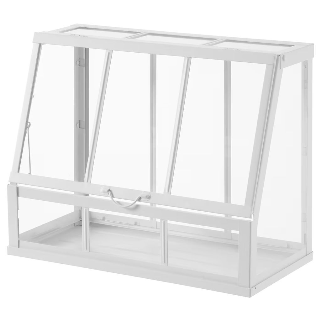 åkerbär drivhus, indendørs/udendørs/hvid, 45 cm