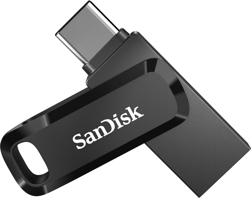 SanDisk USB 3.1 Dual Drive Go Type-C 256GB