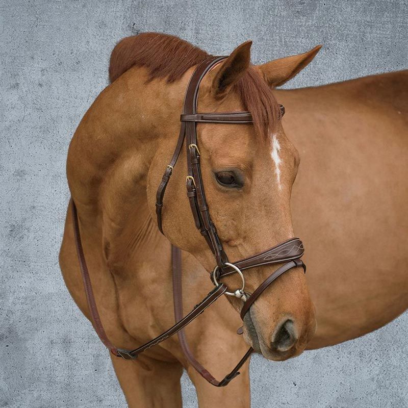 Dyon Träns Anatomiskt Kombinosgrimma DC Brun Full