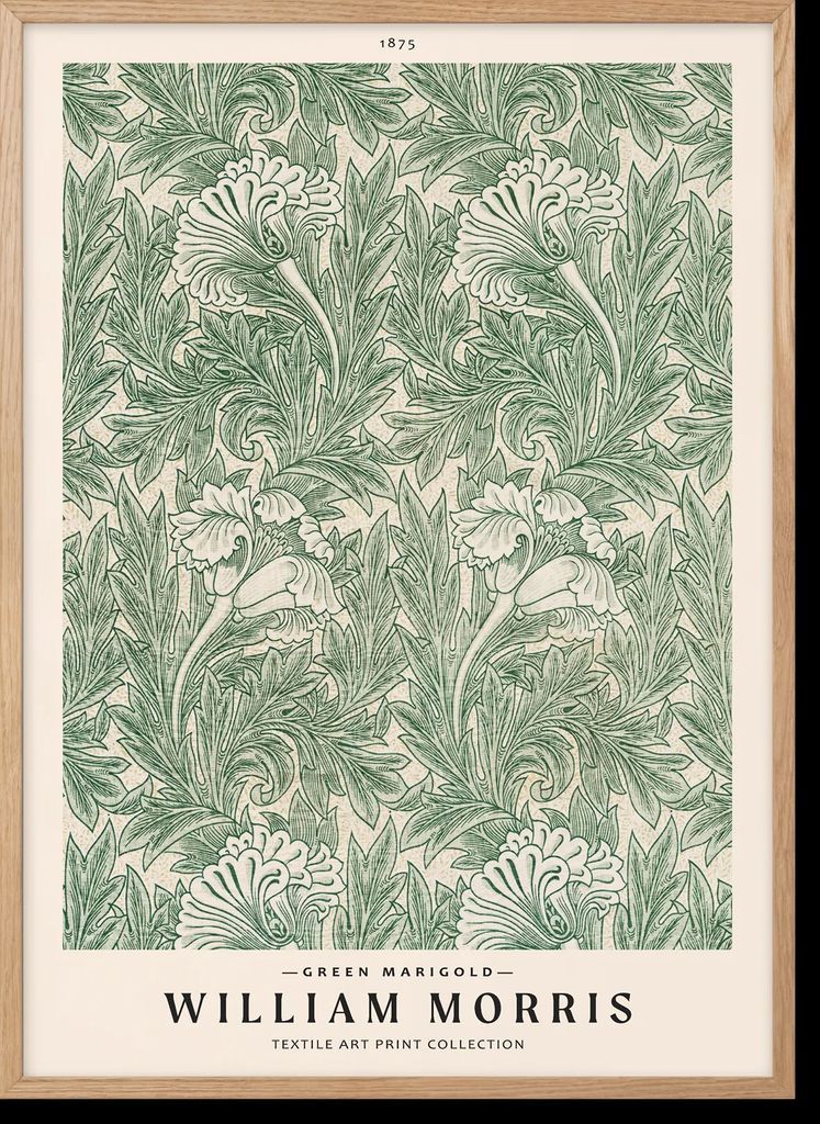 Green Marigold - Peléton