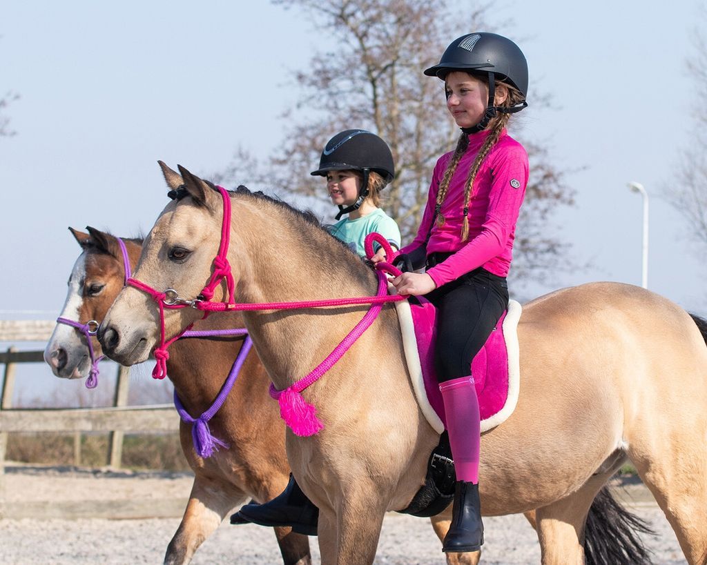qhp bareback pad