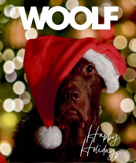 Woolf julekalender til hund.