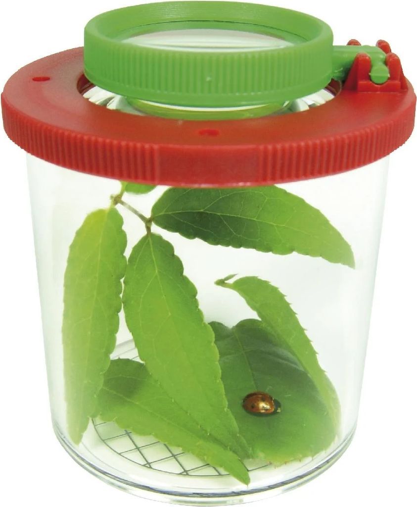 Eduplay Insekt med forstørrelsesglas Ø 6cm