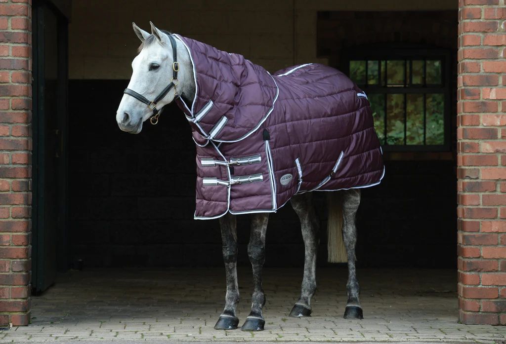 Weatherbeeta Comfitec Pp Channel Quilt 2 Detach a Neck Medium
