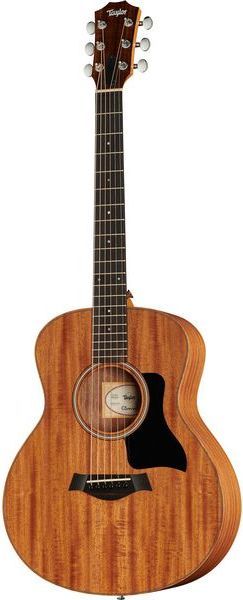 Taylor GS Mini