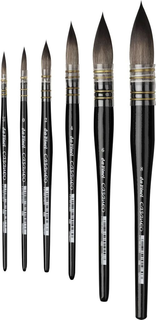 Da Vinci Casaneo 498 Wash Brush smoth.2