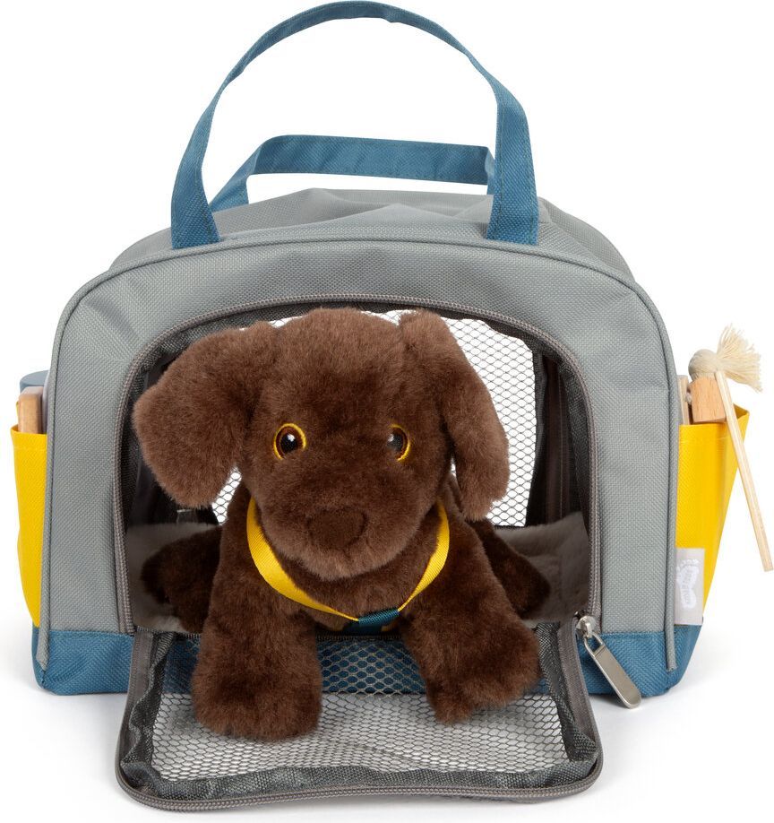 Kæledyr sæt hund