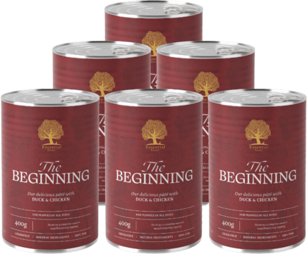 Essential Foods The Beginning Paté, 400g