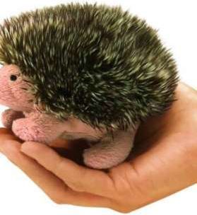 Folkmanis Mini Hedgehog 2668