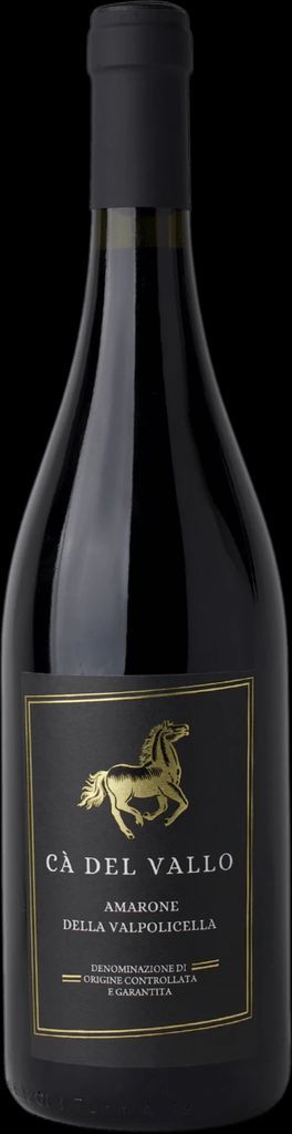 Vina Errazuriz 2021 Max Reserva Pinot Noir 13% 75ml