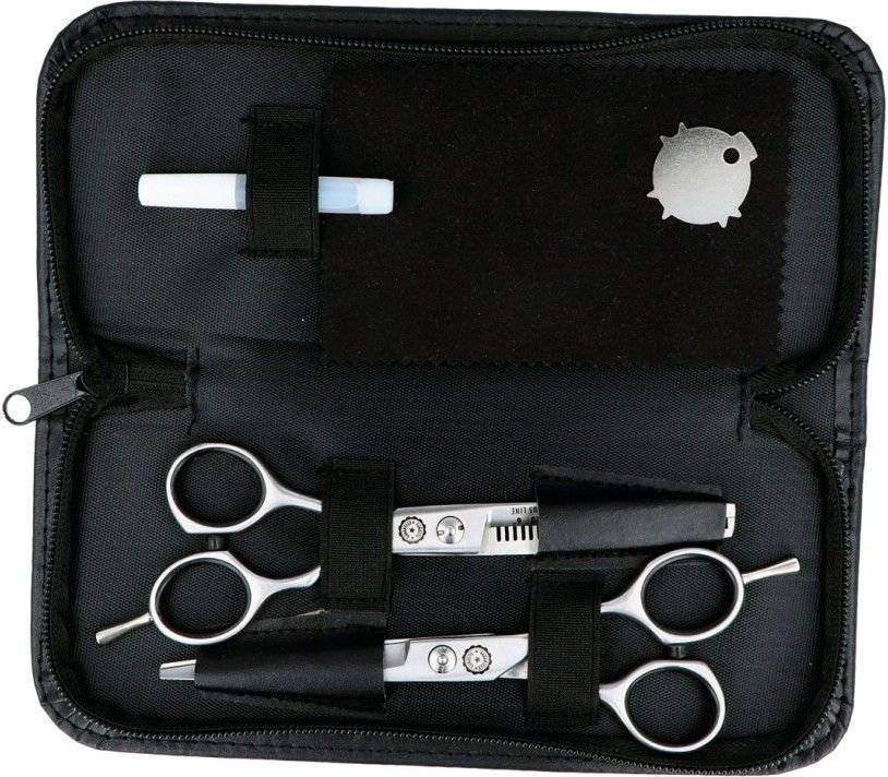 Eurostil Professional Scissor Set 6" Etui Tijeras Corte Esculpir 2un