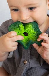 Oli & Carol Kendall The Kale Mini Doudou Teether