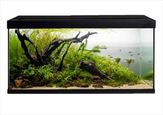 akvastabil element akvarie - 180 liter - hvid