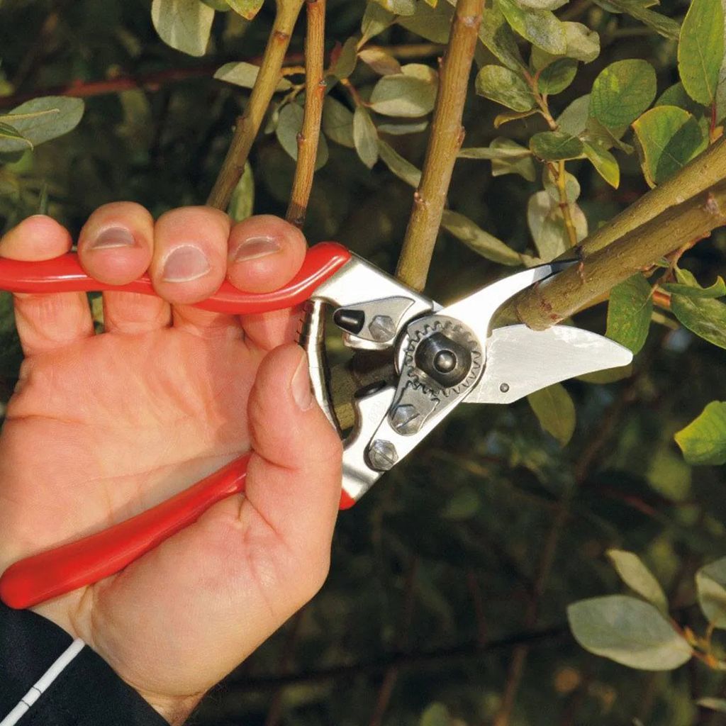 Stihl Felco 6 Beskæresaks