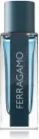 Ferragamo Intense Leather EdP 100ml