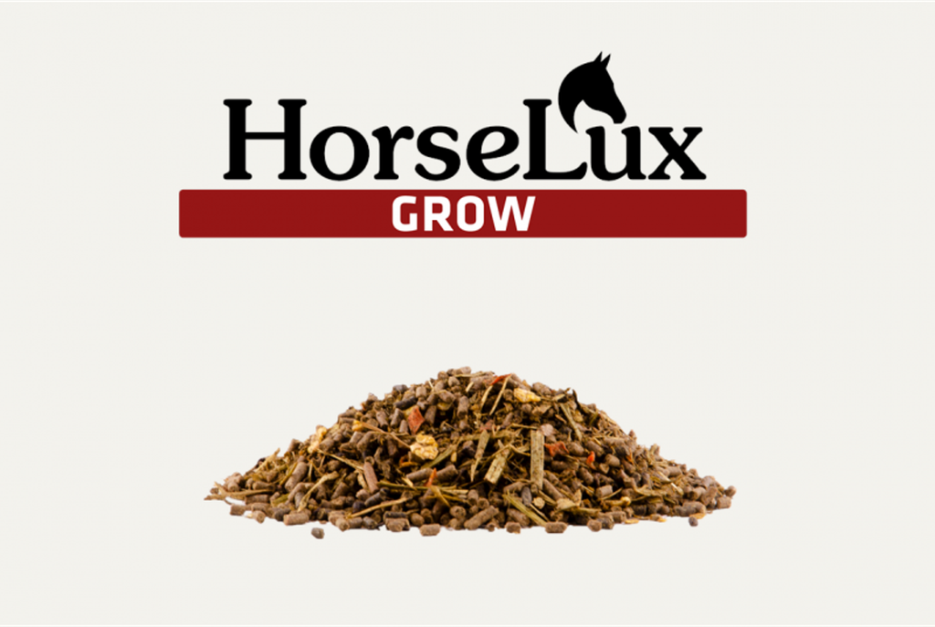HorseLux Grow 15 kg