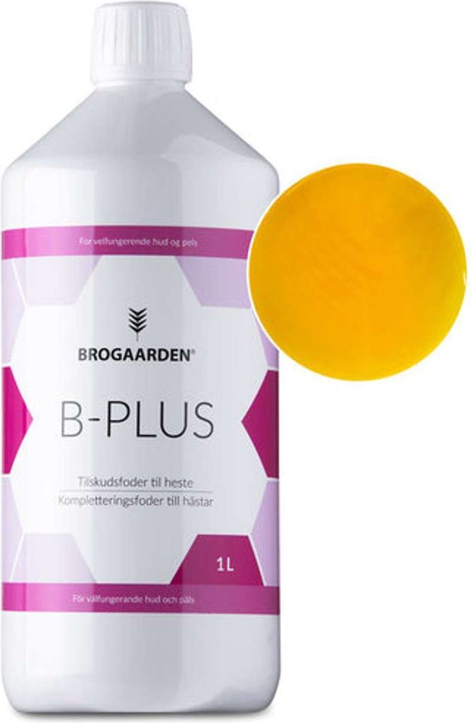 brogaarden b-plus