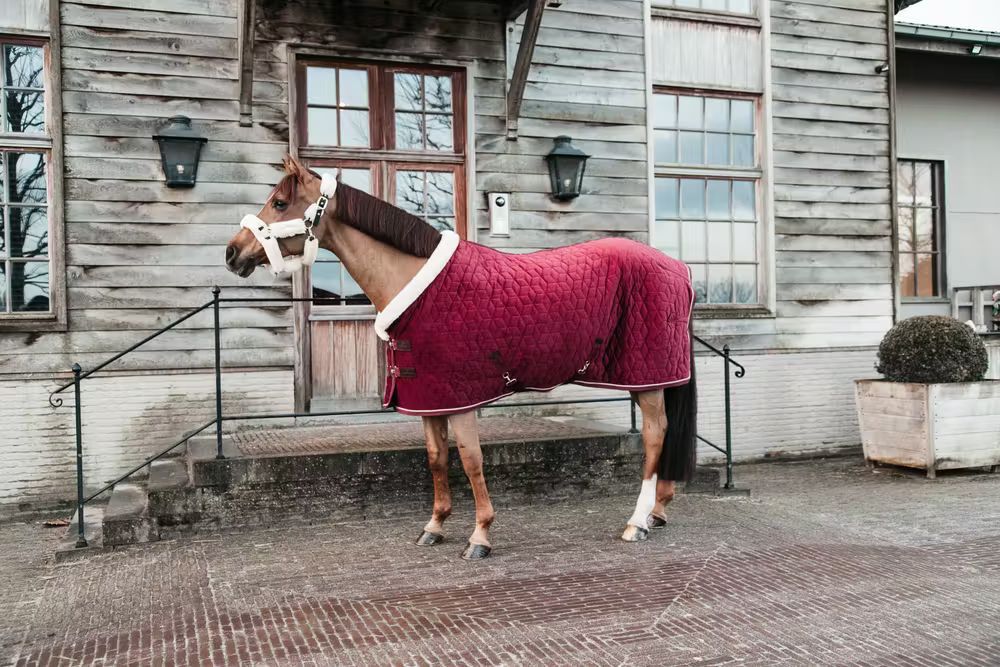 Kentucky Stævne Tæppe Show Rug Velour Brodeaux