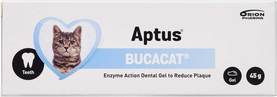 aptus bucacat