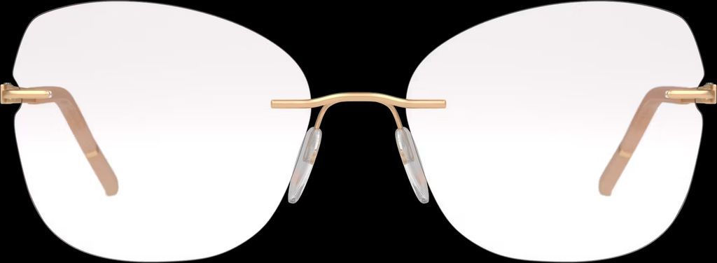 Silhouette 5529/HF 3525 17