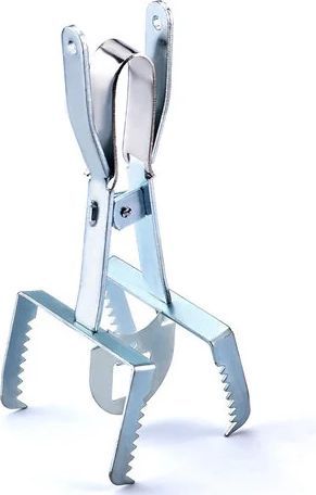 Swissinno Classic Mole Scissors