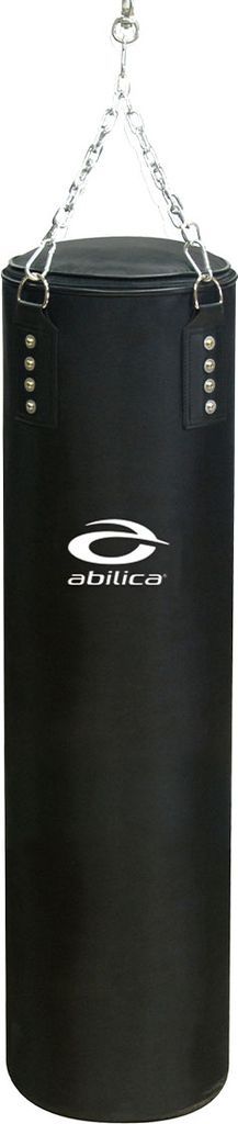 Abilica Punch and Kick
