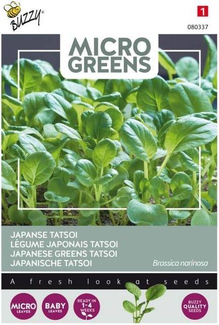 Mikrogrønt frø, Tatsoi - Buzzy