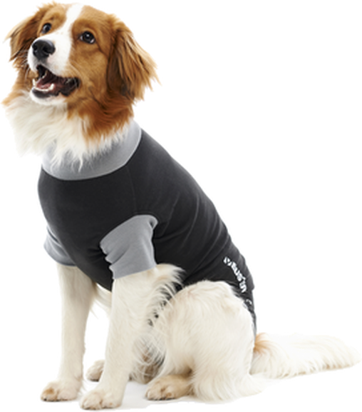 buster body suit classic til hunde