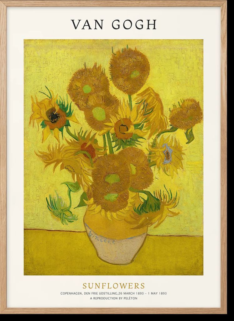 Sunflowers - Peléton