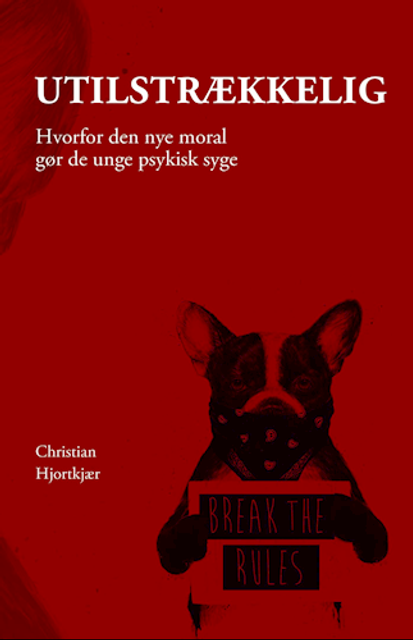 Utilstrækkelig (E-bog, 2020)