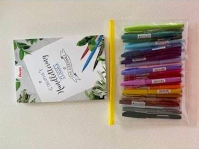 Pentel SES15-24 Brush Sign Pen Plast etu