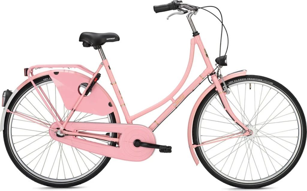 Falter Holland H 1.0 Pink - 50 cm - Classic Retro Damecykel