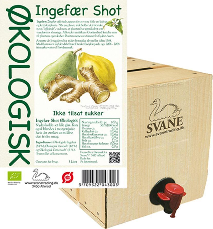 Svane Ingefær shot m pære & citron Ø 3 l