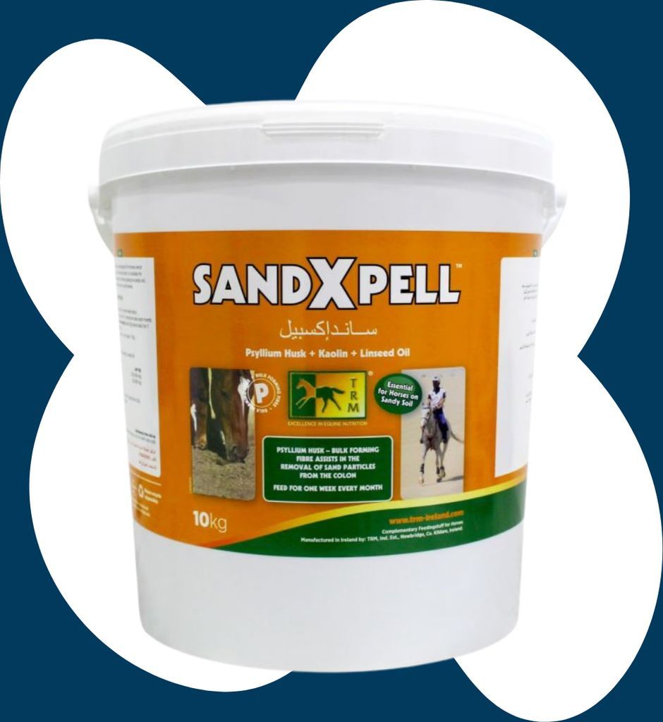 SandXpell - 10 kg