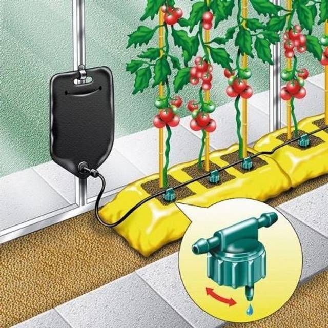 Garland 'Big Drippa' Drip Watering Kit