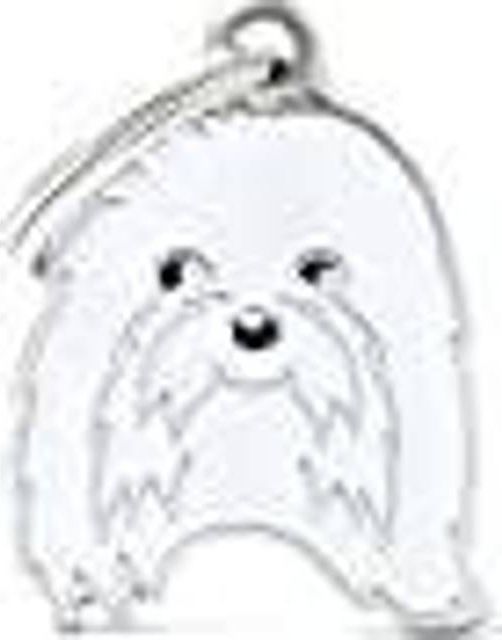 MyFamily Maltese Dog Tag