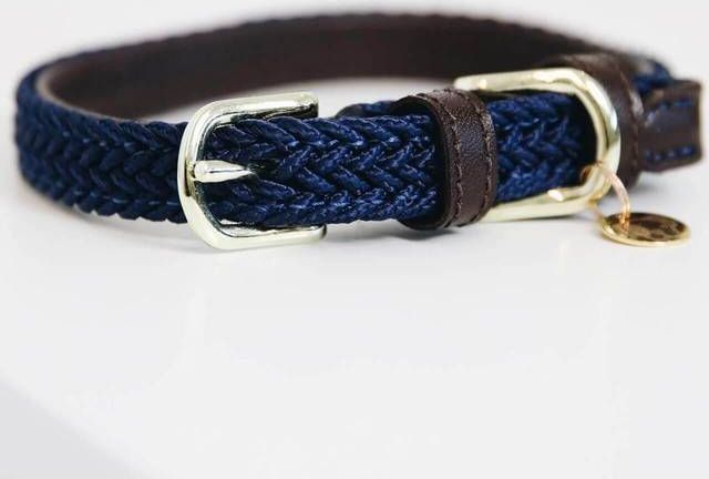 Kentucky Plaited Nylon Hundehalsbånd Navy