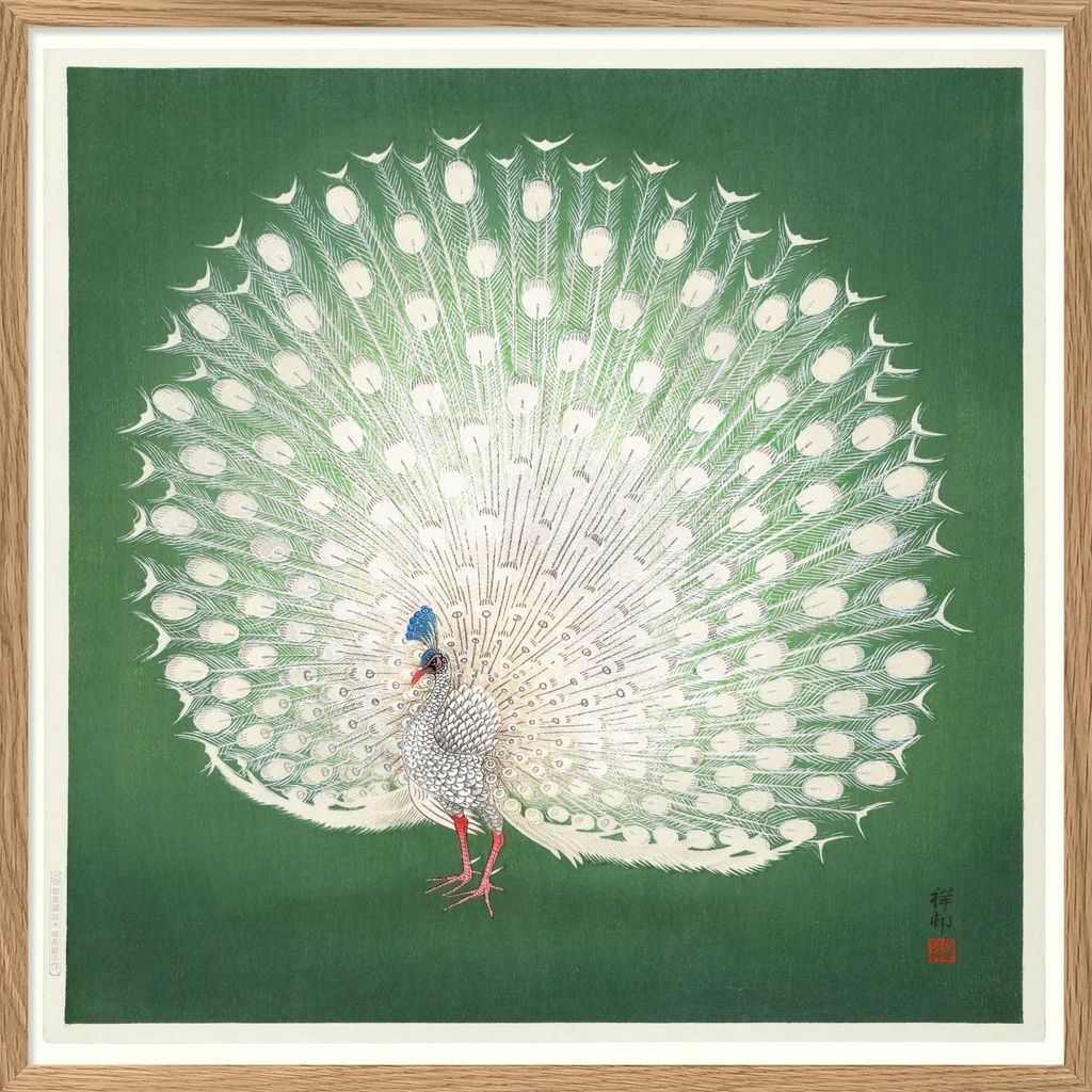 the dybdahl co. - peacock - 61*61