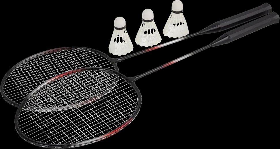 Harald Nyborg Badminton för 2 personer