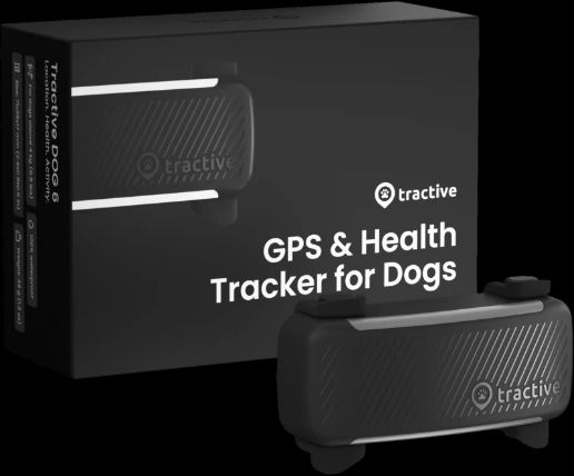 tractive dog 6 gps för hund svart